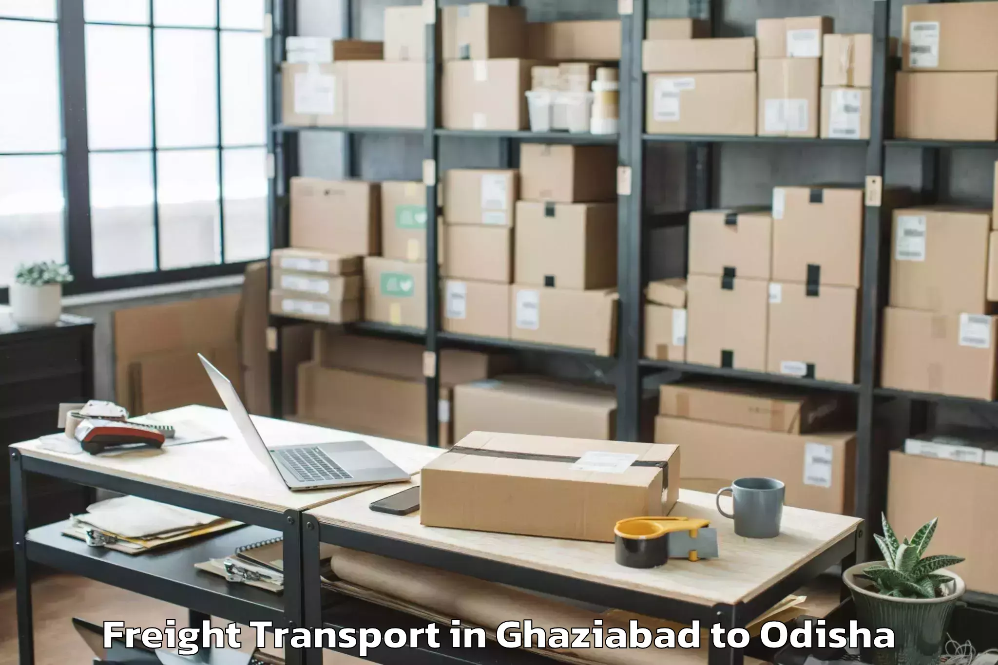 Get Ghaziabad to Burla Freight Transport